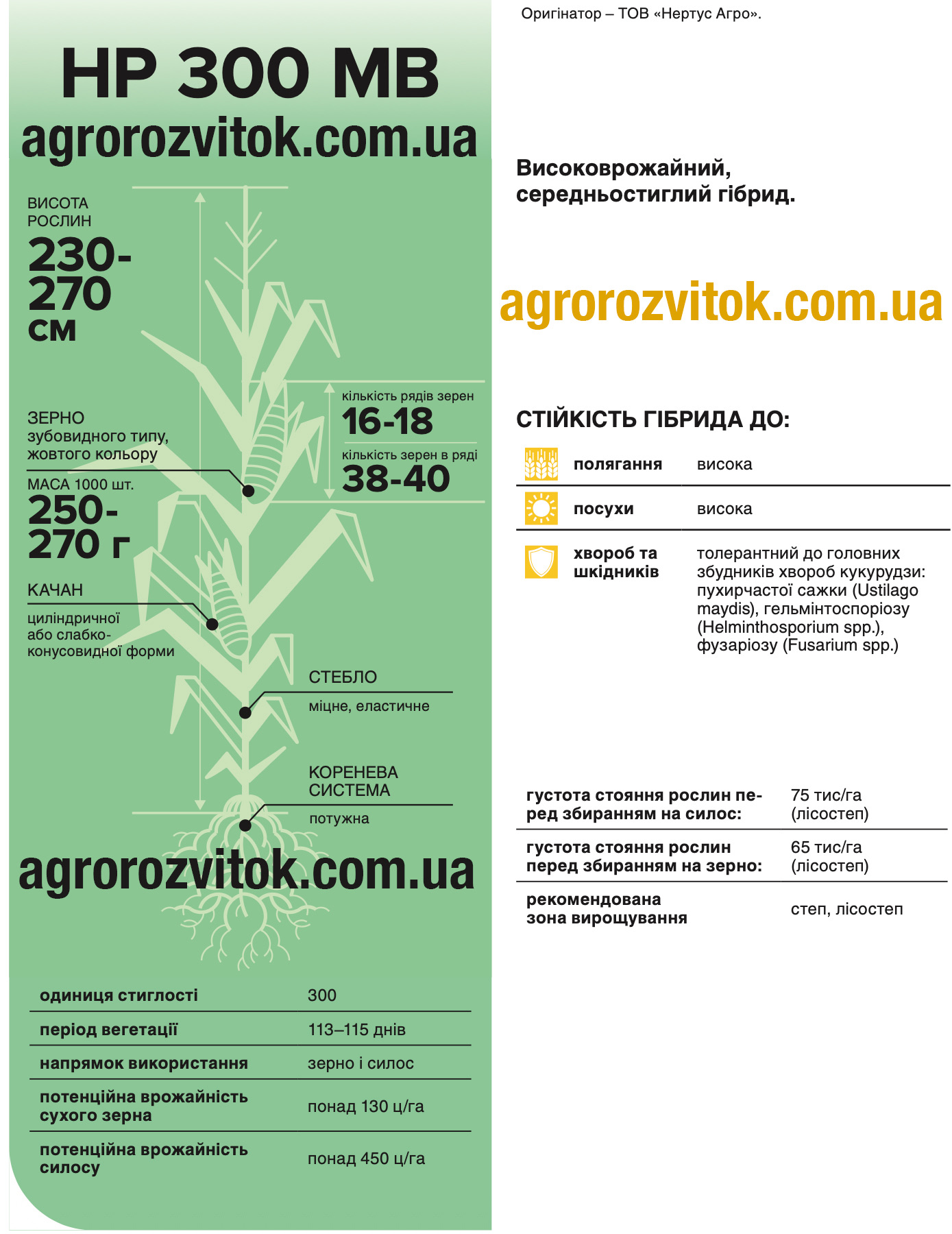 Кукурудза НР 300 МВ Нертус