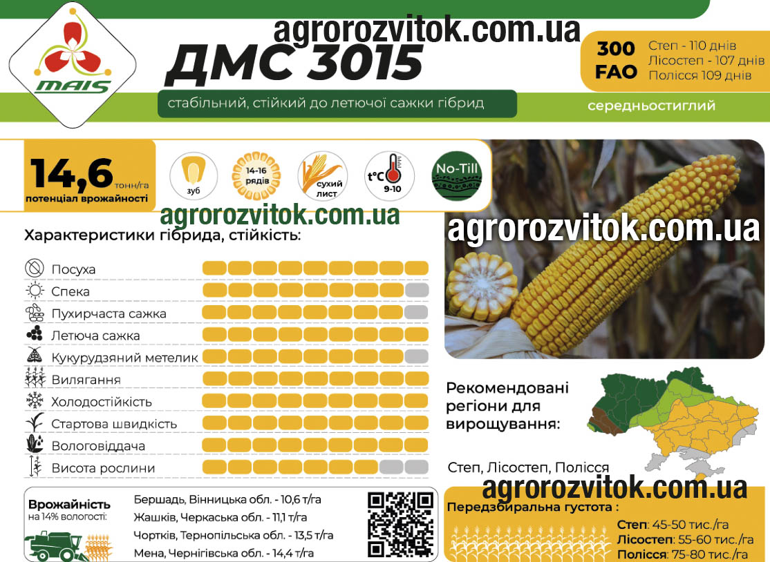 Кукурудза ДМС 3015 Маїс