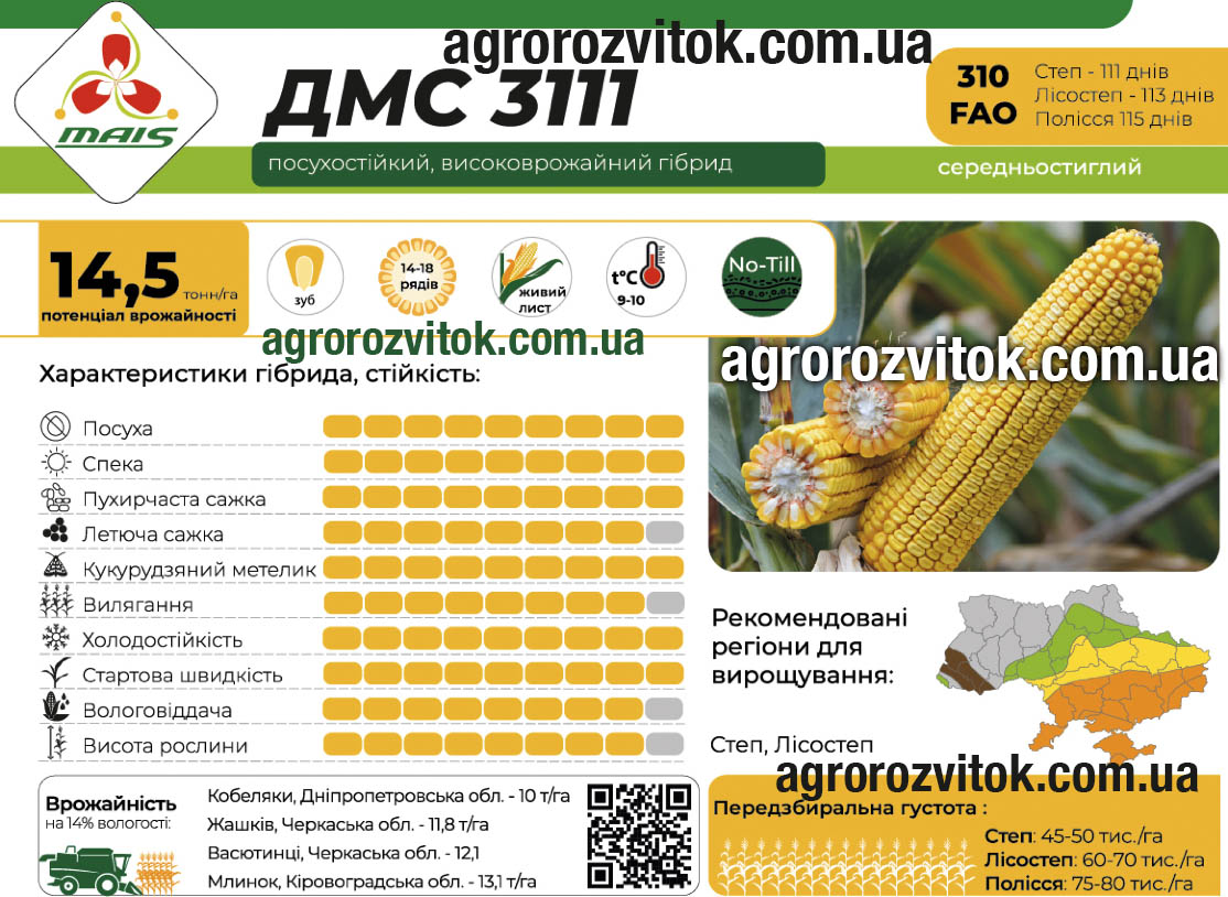 Кукурудза ДМС 3111 Маїс