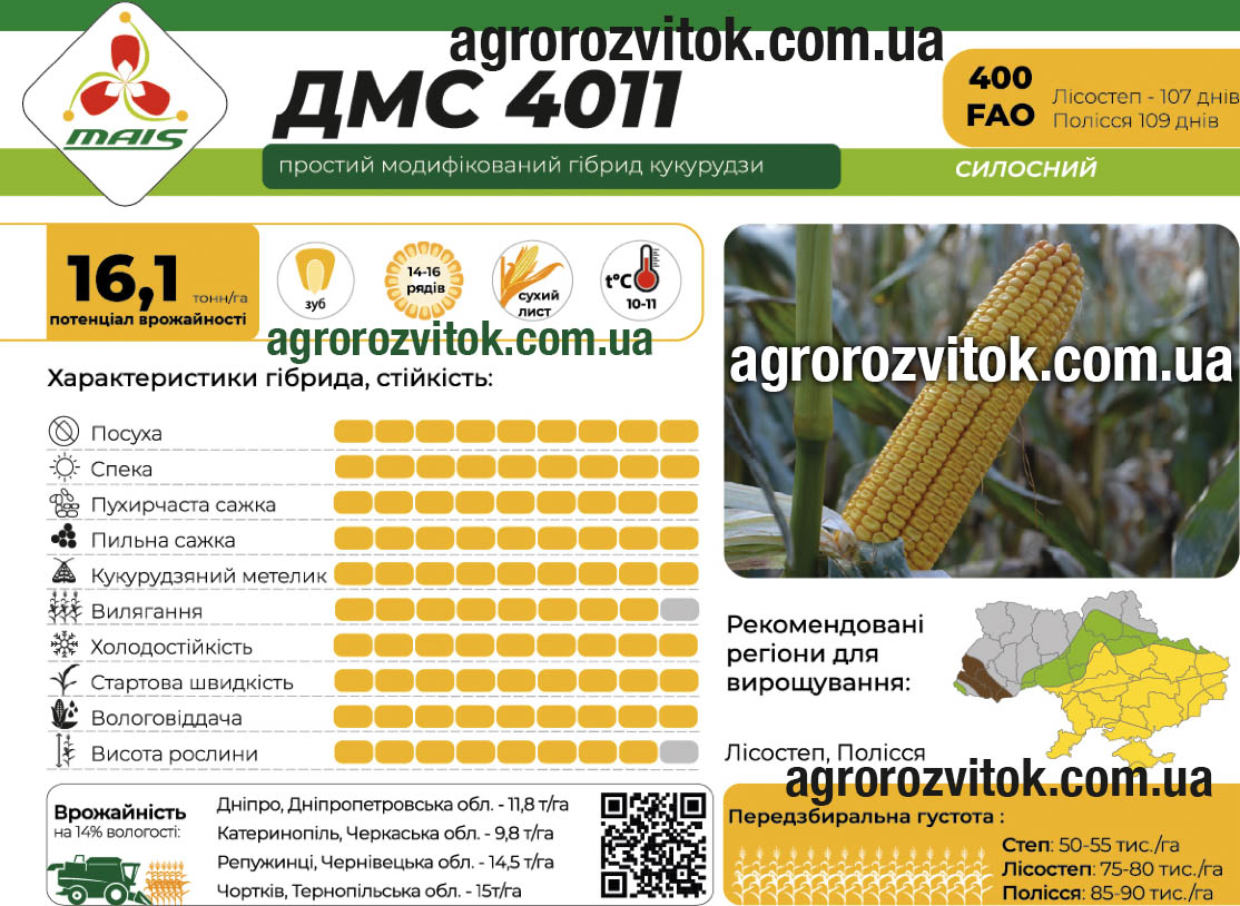 Кукурудза ДМС 4011 Маїс
