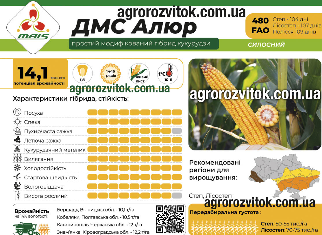 Кукурудза ДМС Алюр Маїс