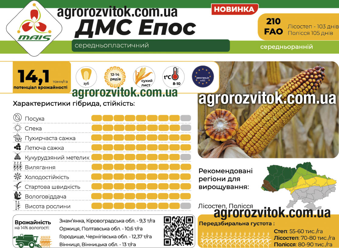 Кукурудза ДМС Епос Маїс Кукурудза ДМС Епос Маїс