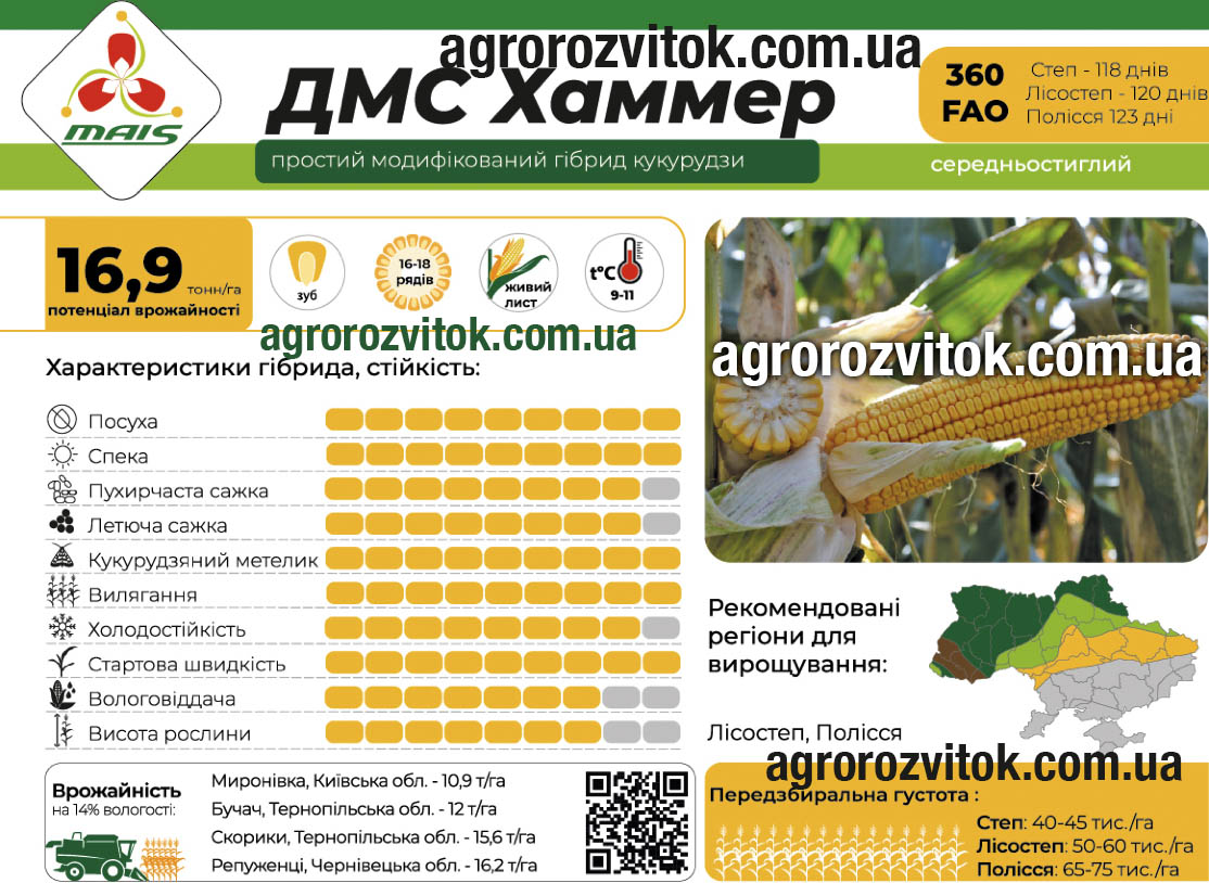 Кукурудза ДМС Хаммер Маїс Кукурудза ДМС Хаммер Маїс