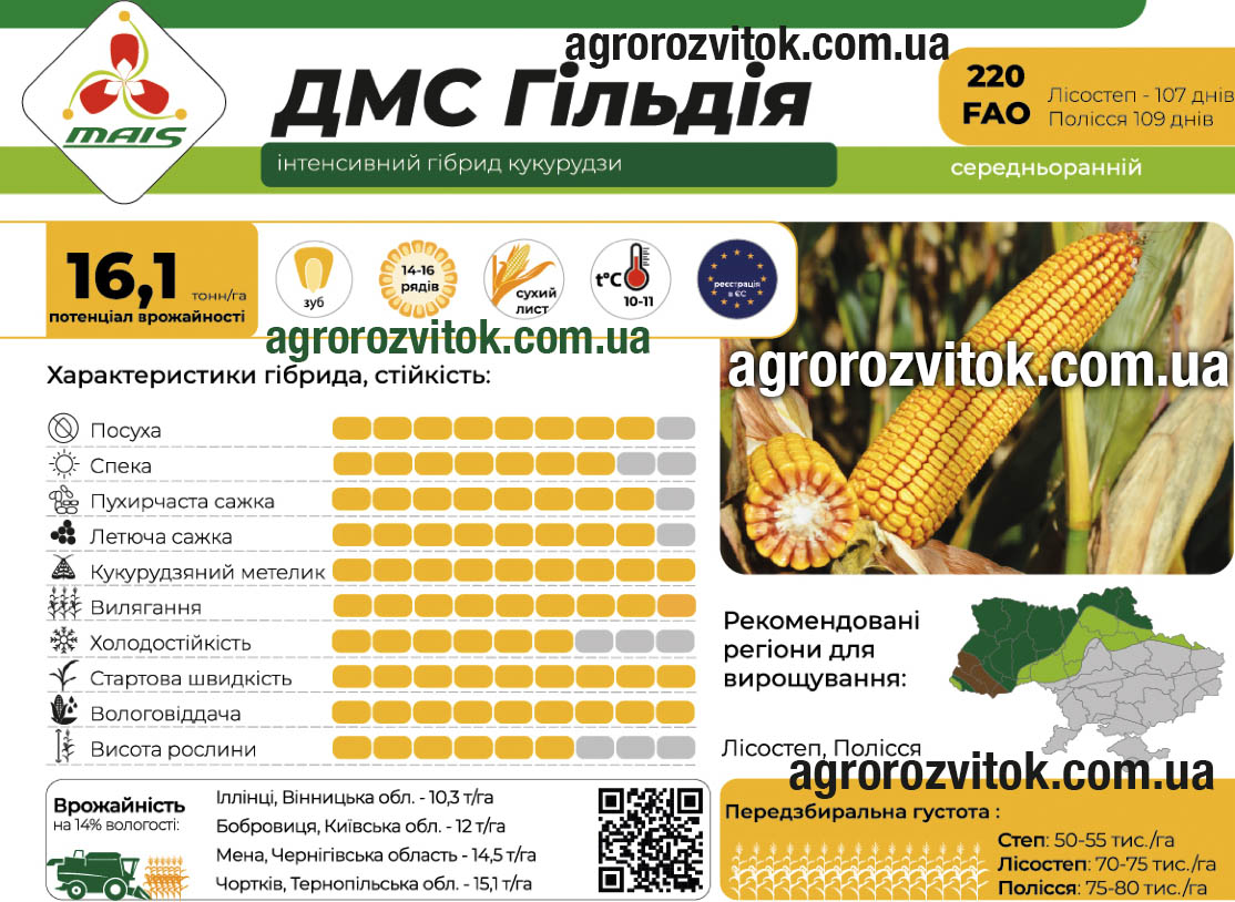 Кукурудза ДМС Гільдія Маїс Кукурудза ДМС Гільдія Маїс
