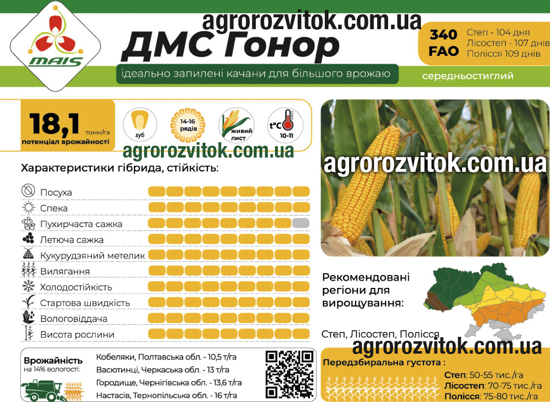 Кукурудза ДМС Гонор Маїс