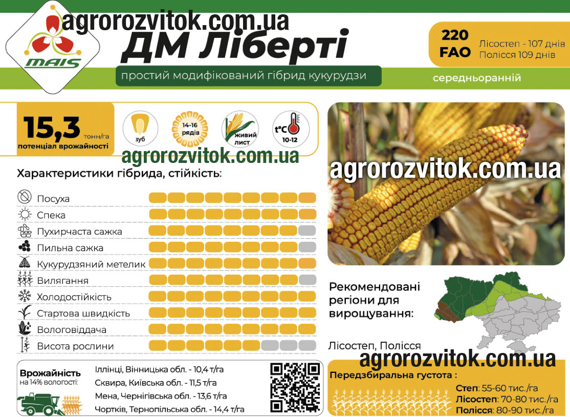 Кукурудза ДМ Ліберті Маїс
