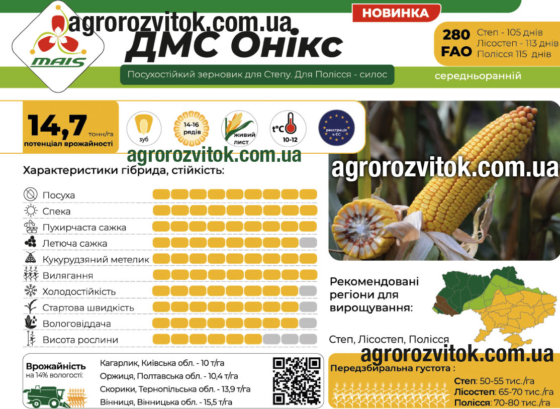 Кукурудза ДМС Онікс Маїс Кукурудза ДМС Онікс Маїс