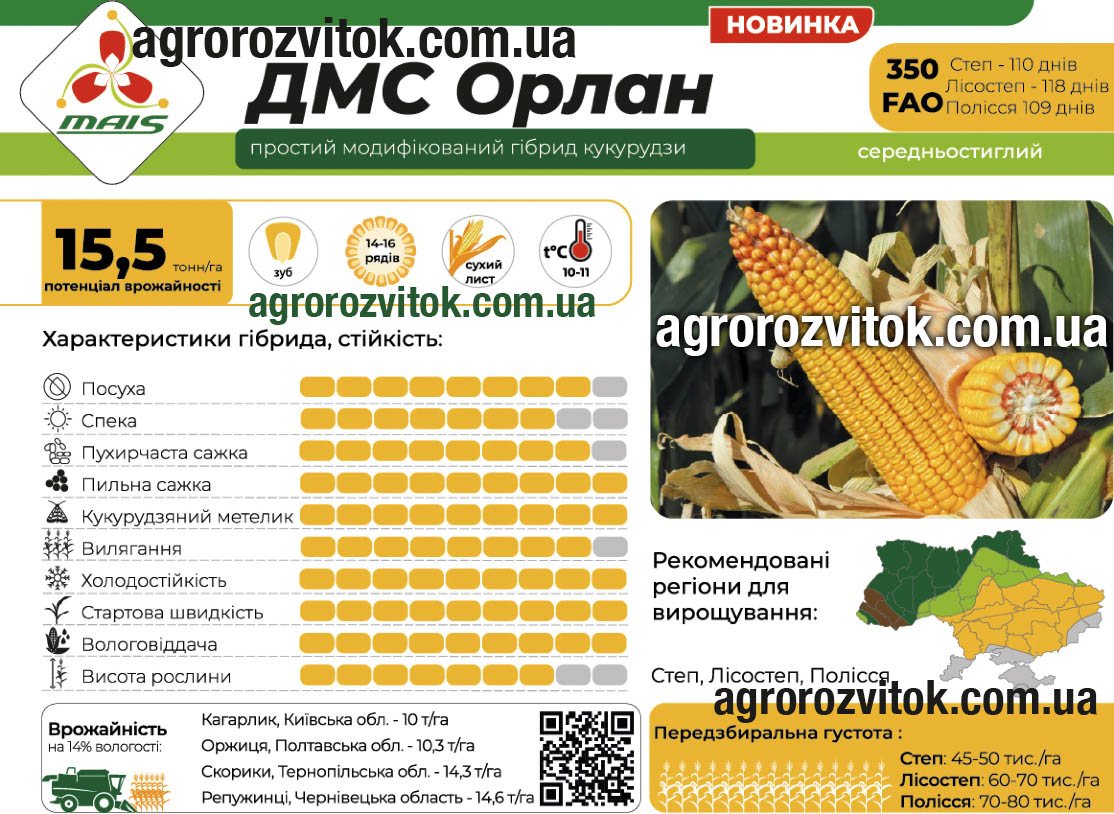 Кукурудза ДМС Орлан Маїс