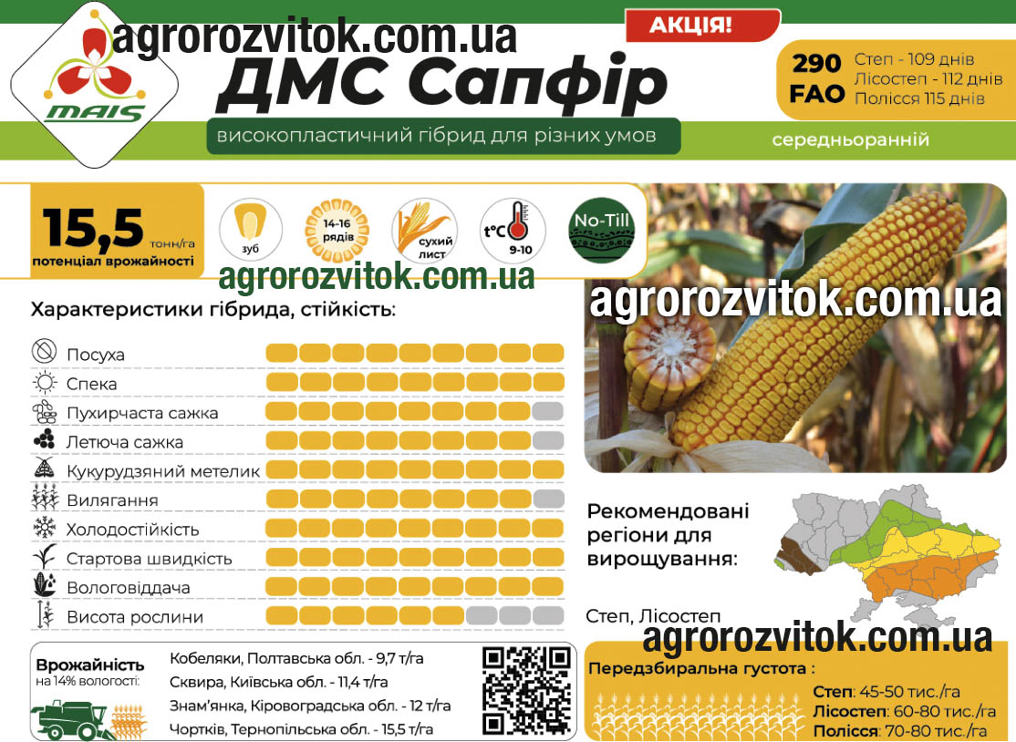 Кукурудза ДМС Сапфір Маїс