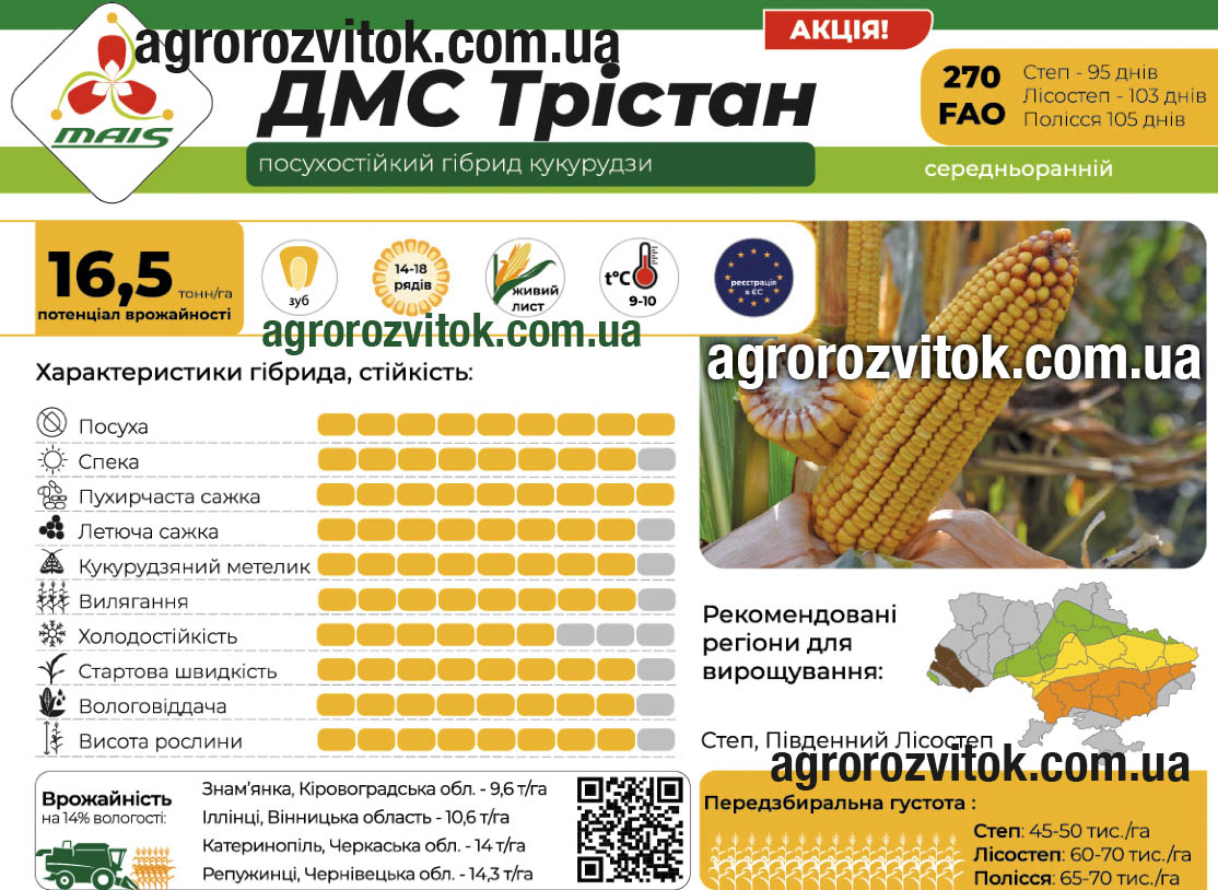 Кукурудза ДМС Трістан Маїс Кукурудза ДМС Трістан Маїс