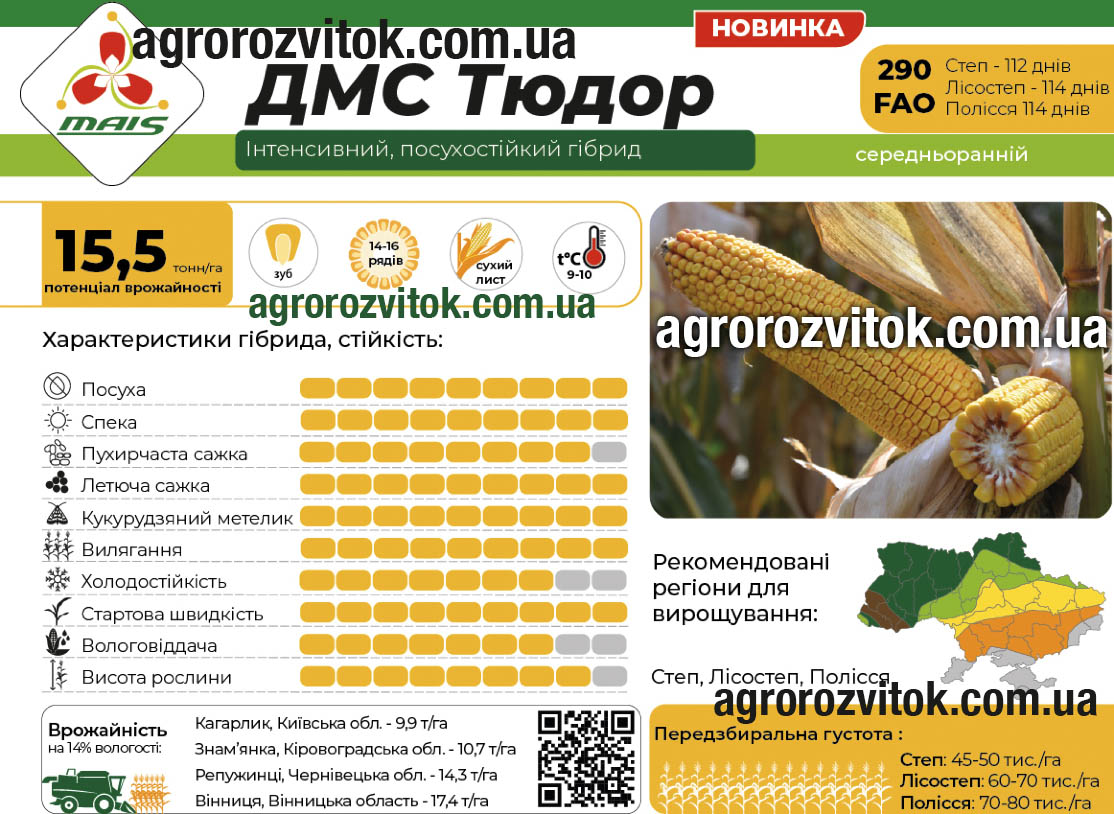 Кукурудза ДМС Тюдор Маїс Кукурудза ДМС Тюдор Маїс