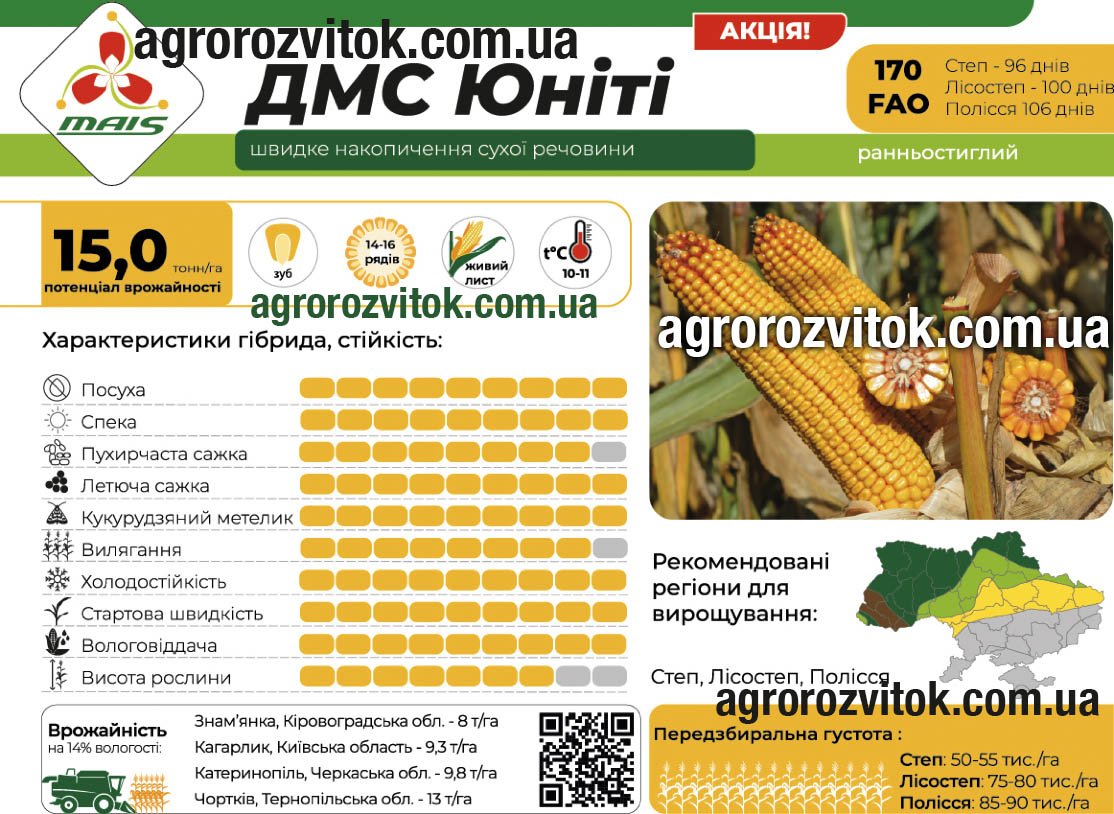Кукурудза ДМС Юніті Маїс Кукурудза ДМС Юніті Маїс