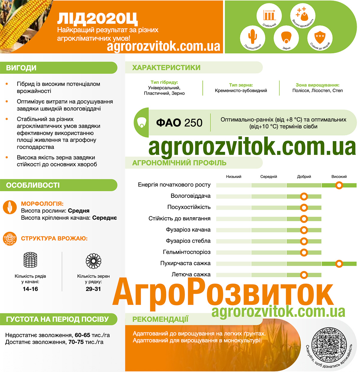 Кукурудза ЛІД 2020 Ц Лідеа