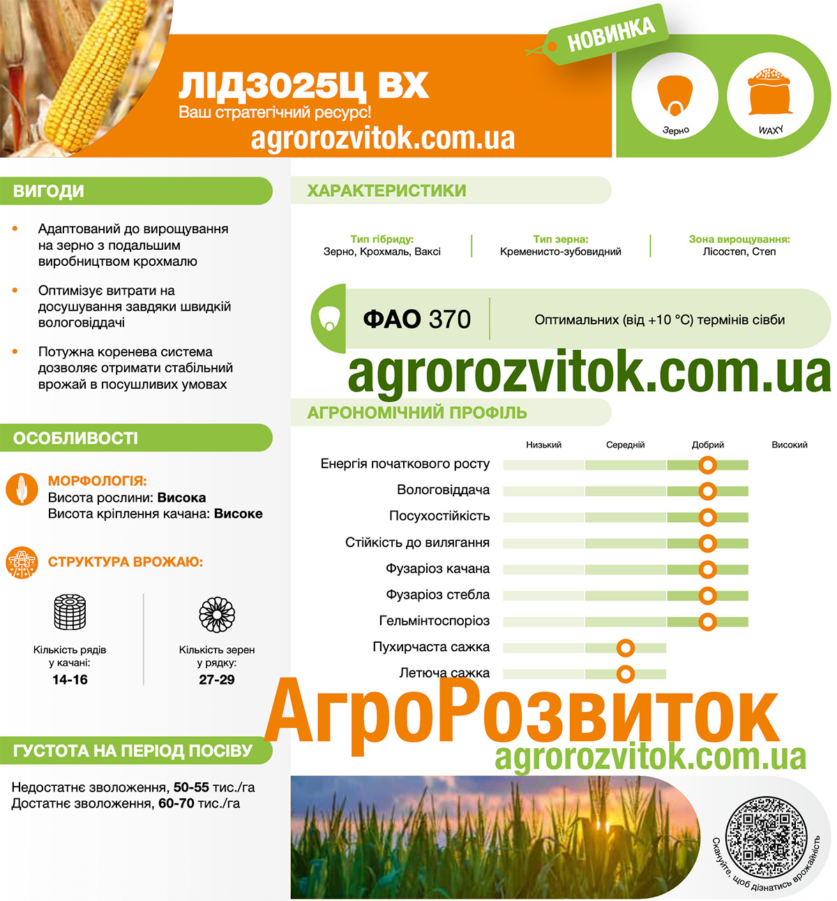 Кукурудза 3025 Лідеа
