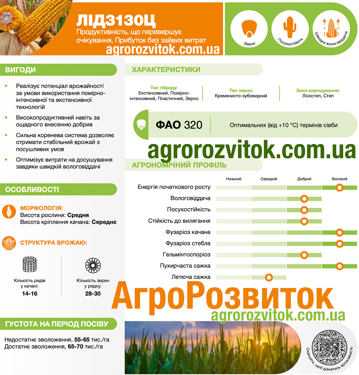 Кукурудза 3130 Лідеа