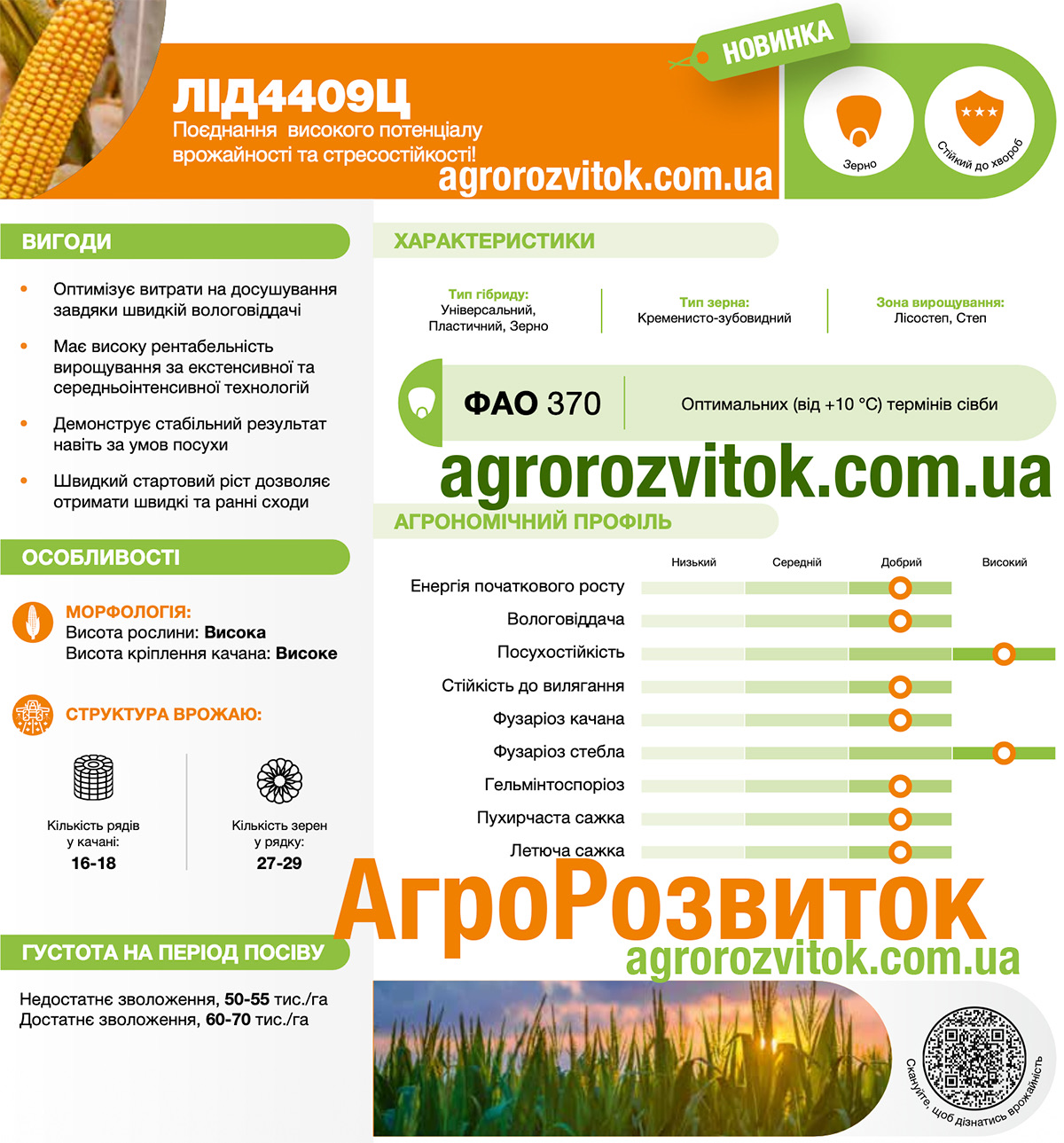 Кукурудза 4409 Лідеа