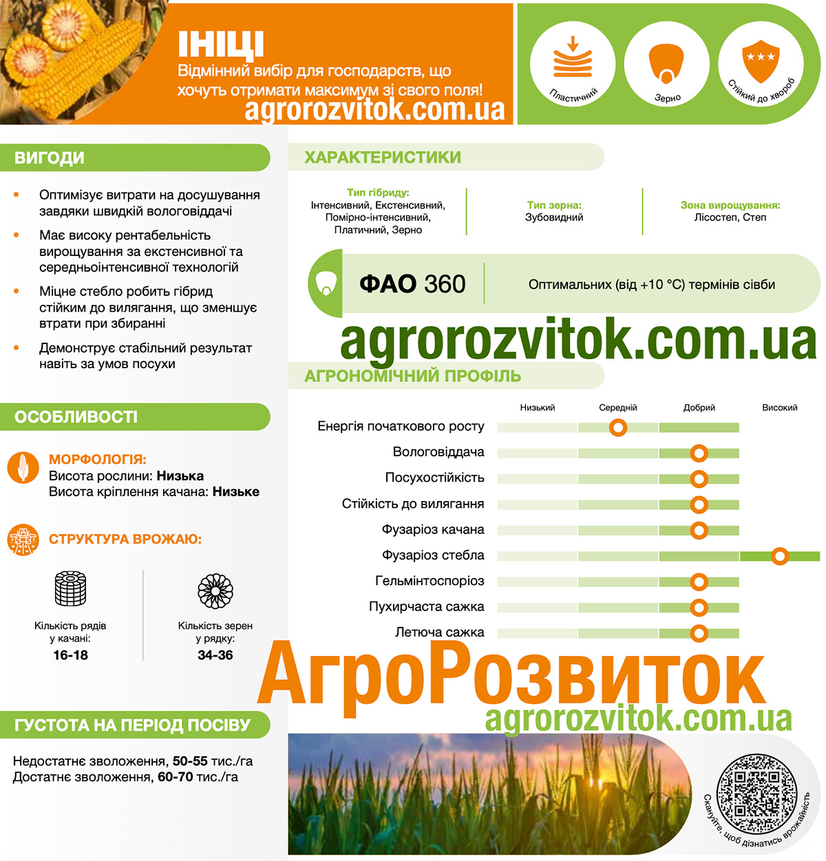 Кукурудза Ініці Лідеа