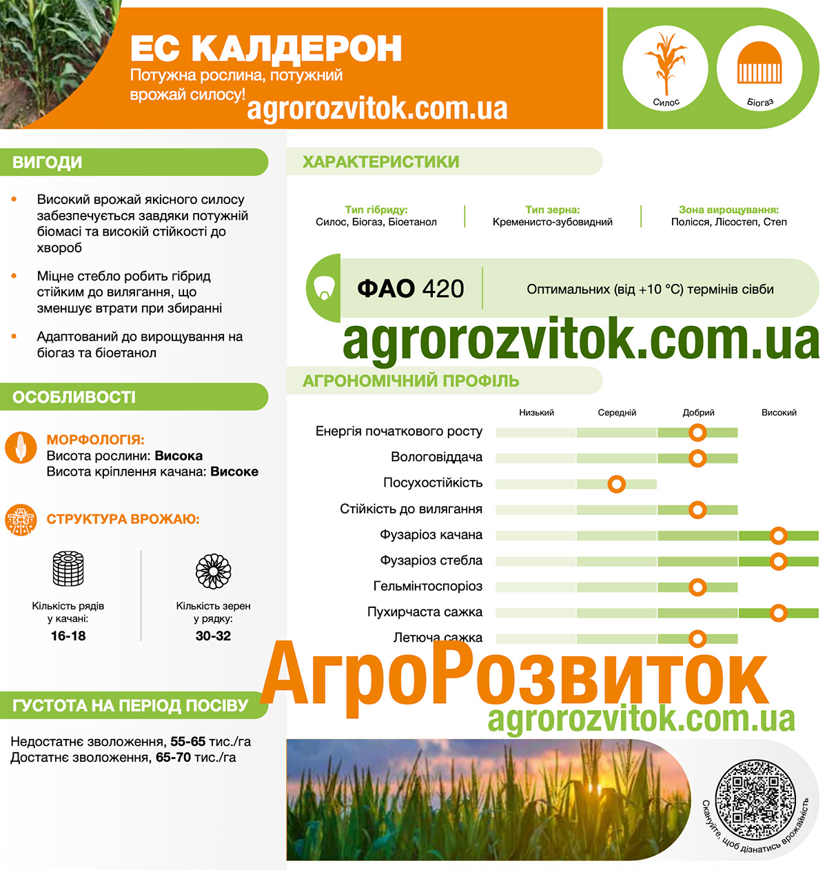 Кукурудза Калдерон Лідеа