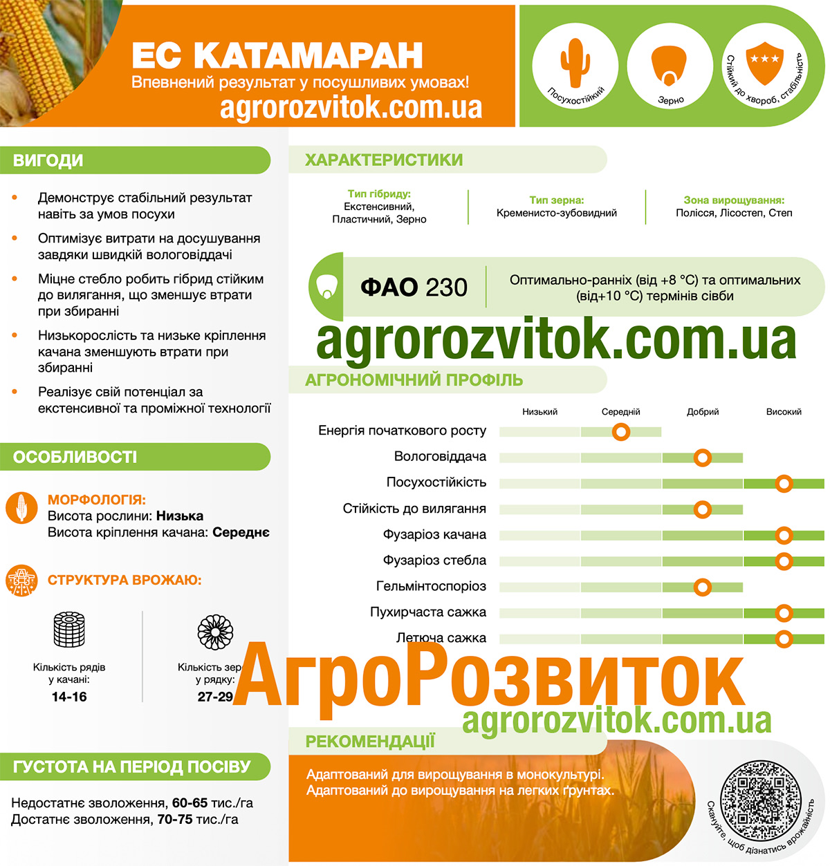 Кукурудза Катамаран Лідеа