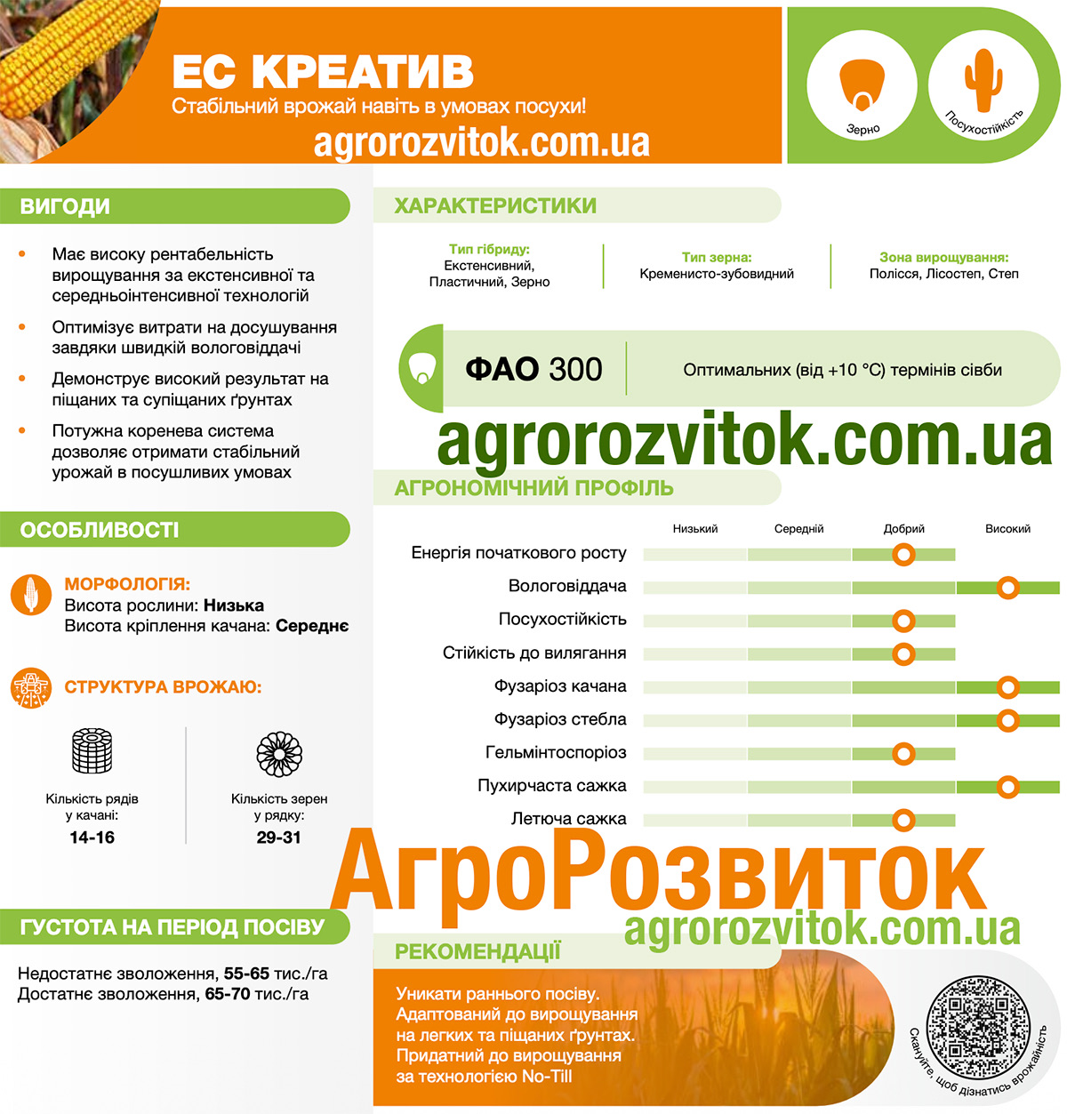 Кукурудза Креатив Лідеа