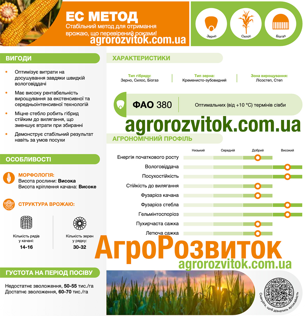 Кукурудза Метод Лідеа