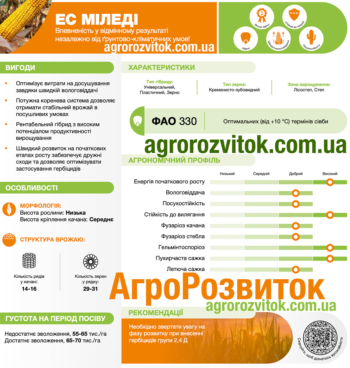 Кукурудза Міледі Лідеа