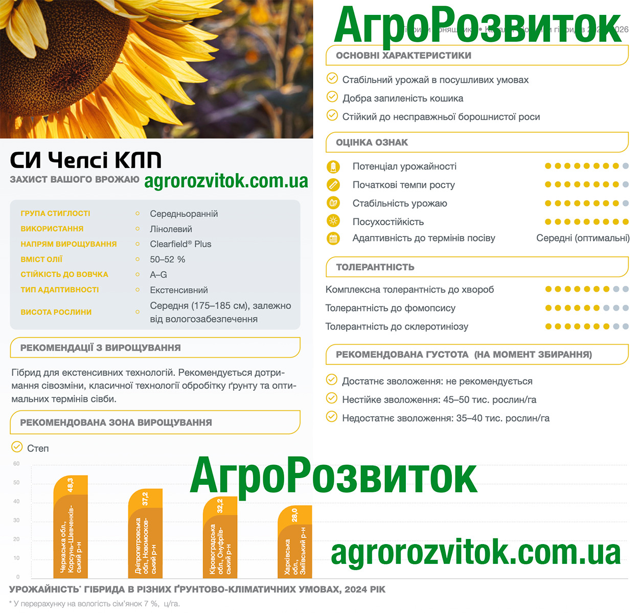 Челсі соняшник Сингента