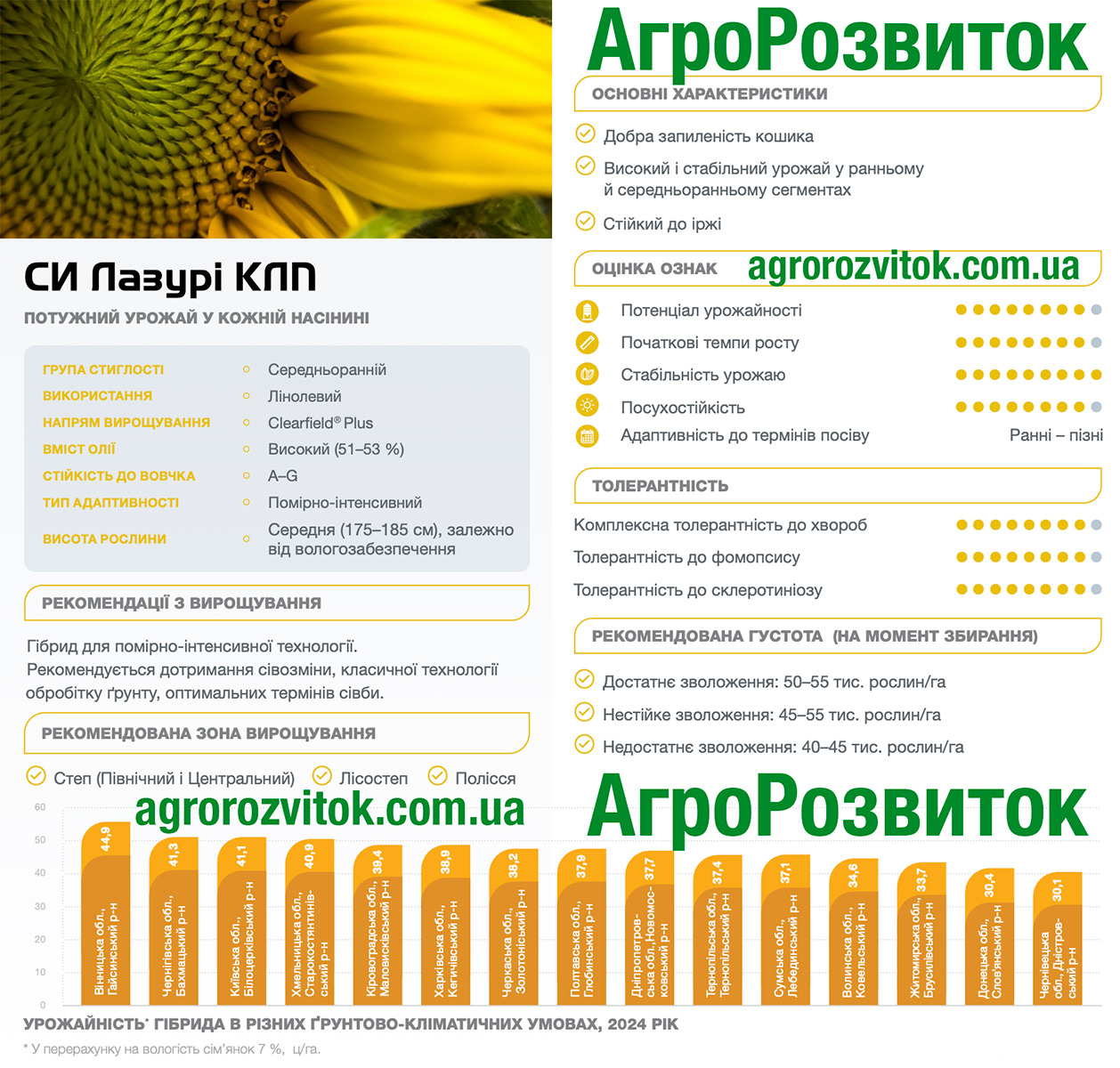 Лазурі соняшник Сингента