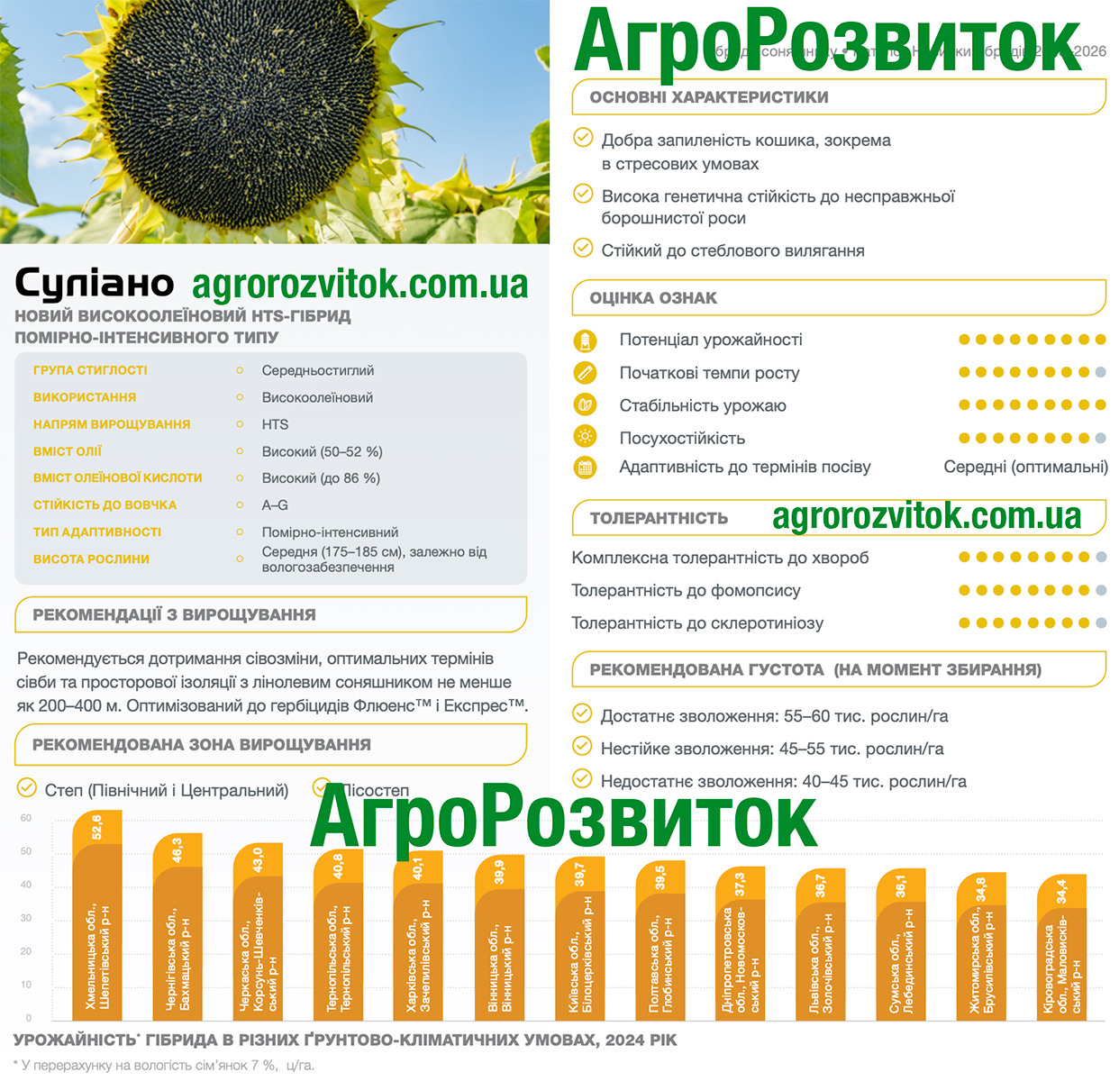 Суліано соняшник Сингента Суліано соняшник Сингента