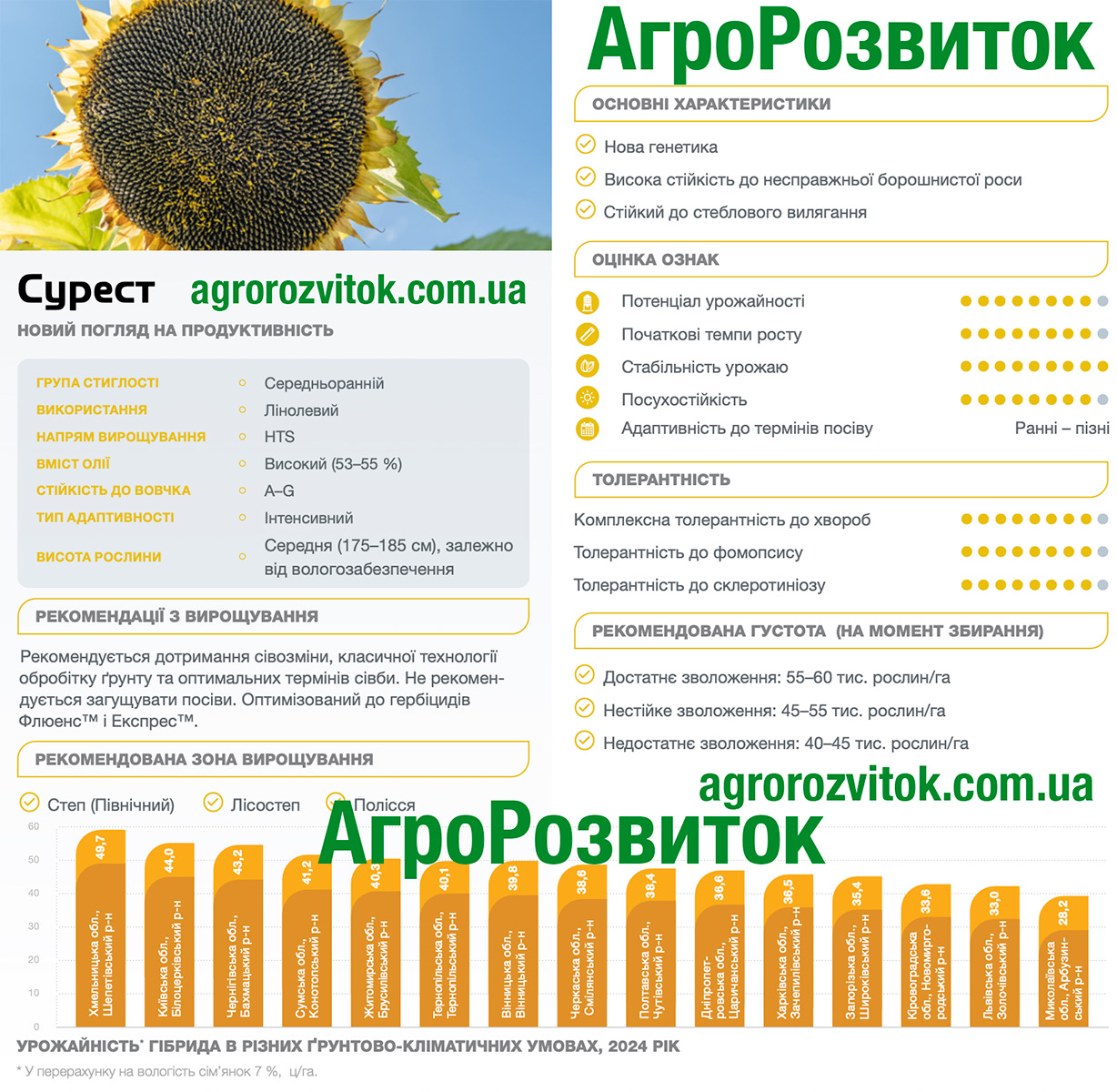 Сурест соняшник Сингента