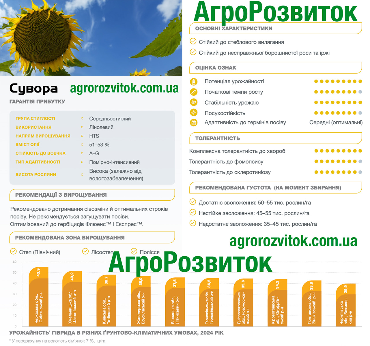 Сувора соняшник Сингента