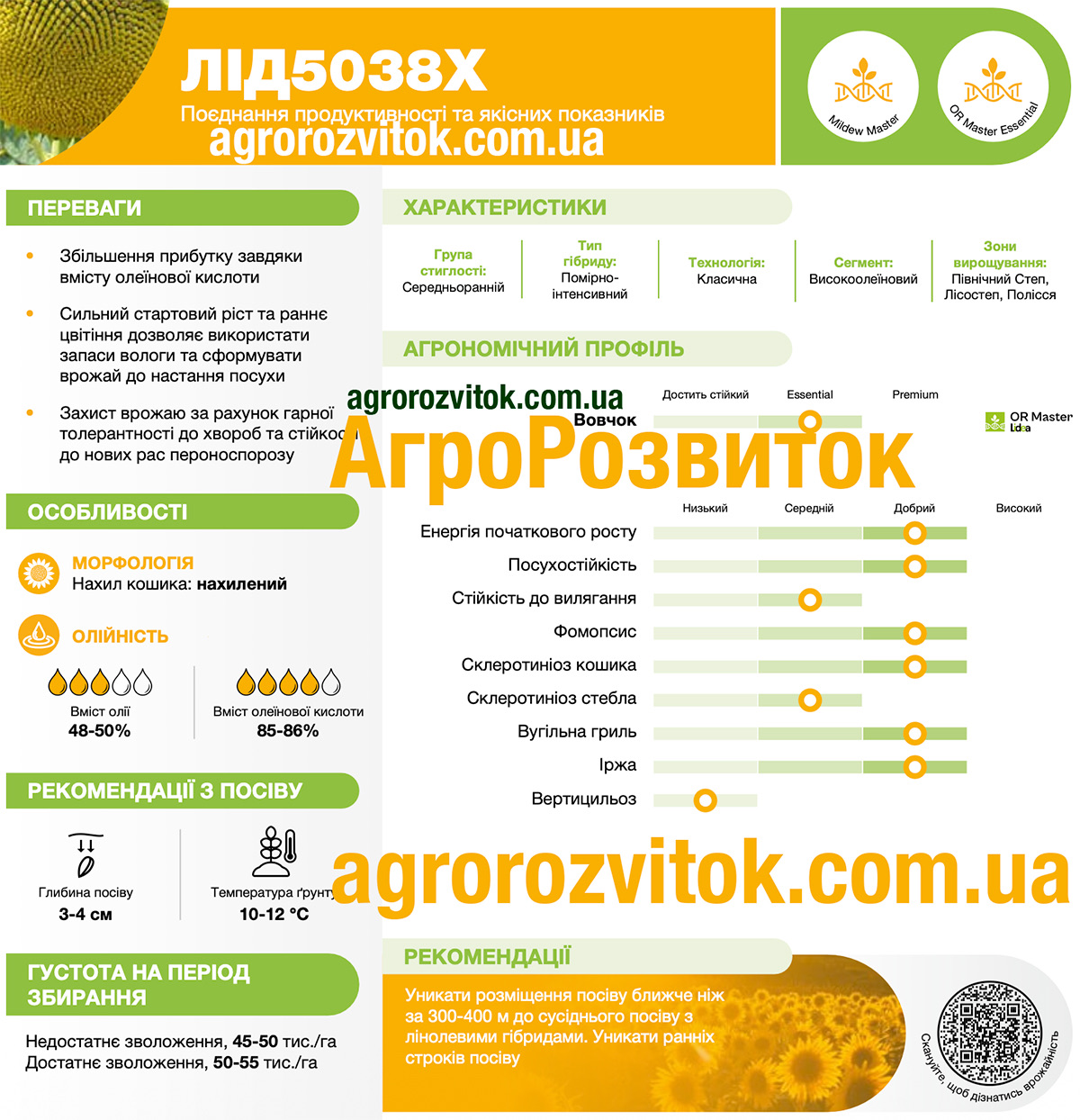 Соняшник ЛІД 5038 Х Лідеа