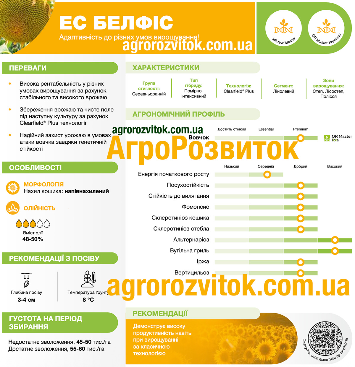 Соняшник ЕС Белфіс Лідеа