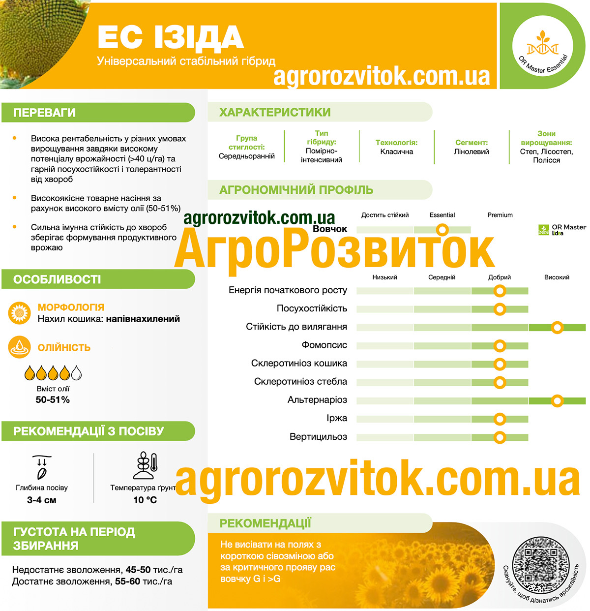 Соняшник ЕС Ізіда Лідеа
