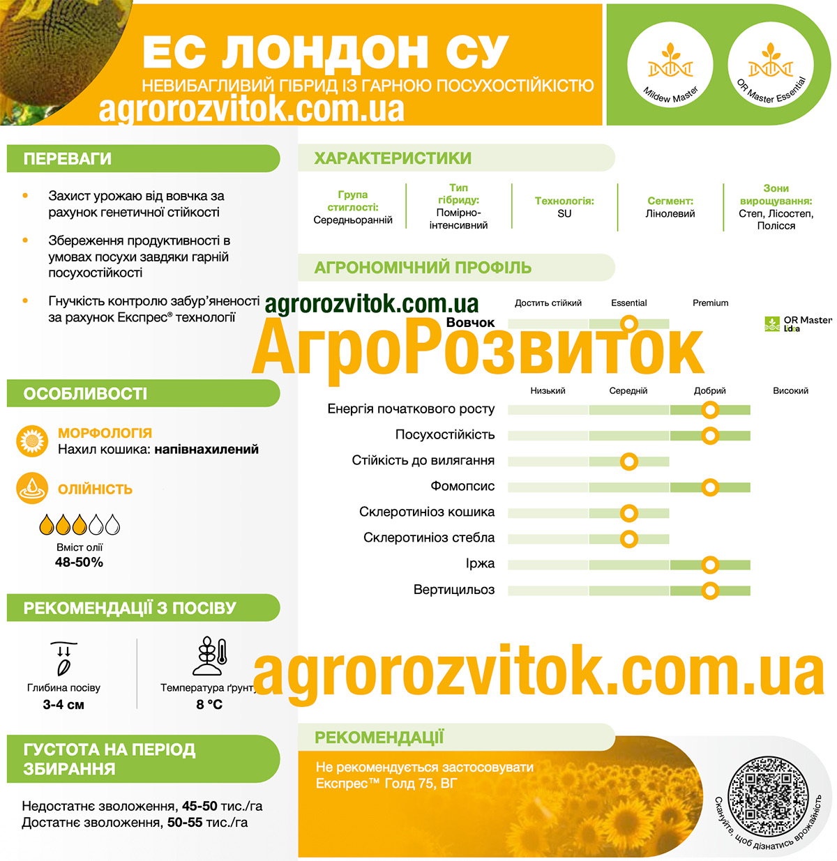 Соняшник Лондон Лідеа