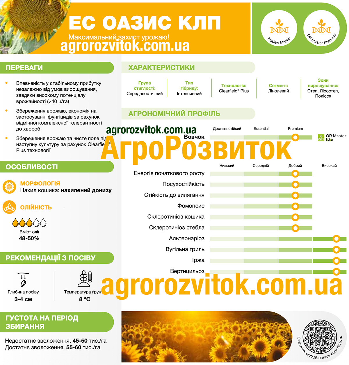Соняшник Оазис Лідеа
