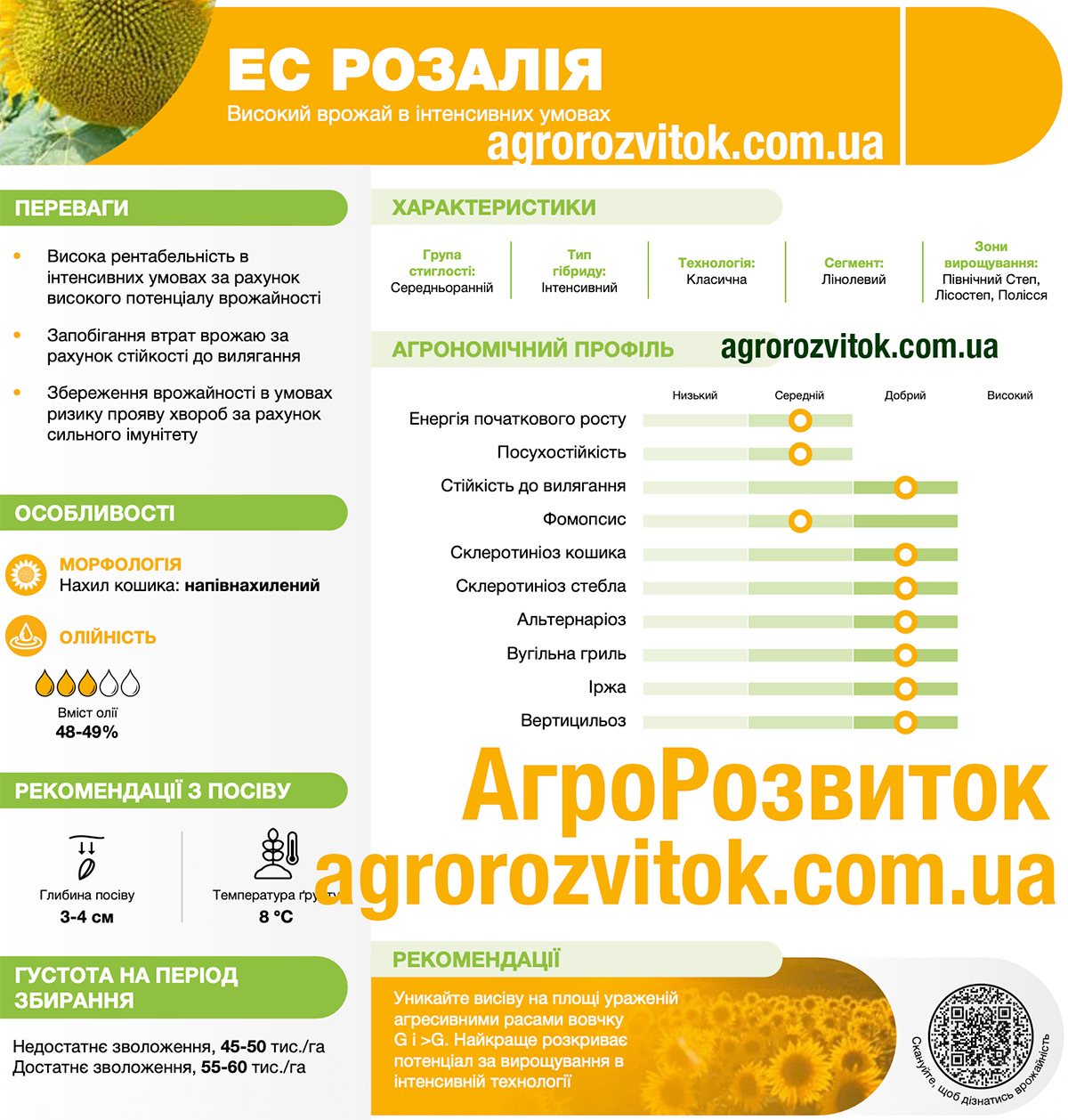 Насіння соняшника ЕС Розалія