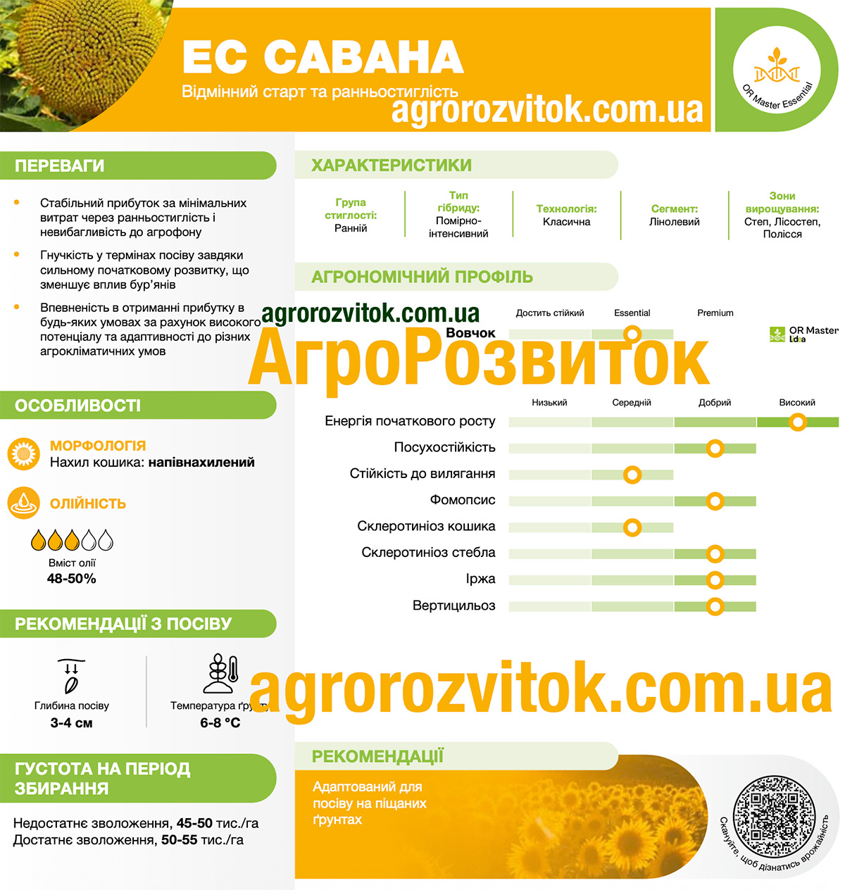 Насіння соняшника ЕС Савана