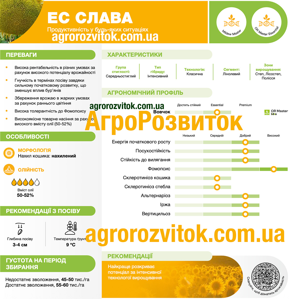 Соняшник ЕС Слава Лідеа
