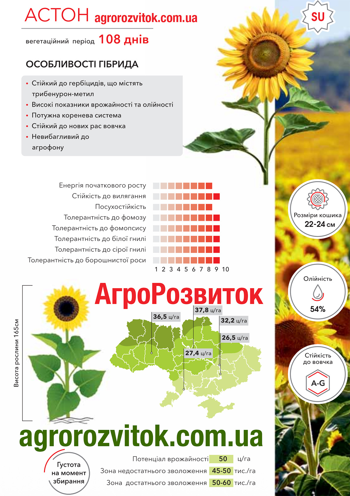 Соняшник Астон Арт-Агро