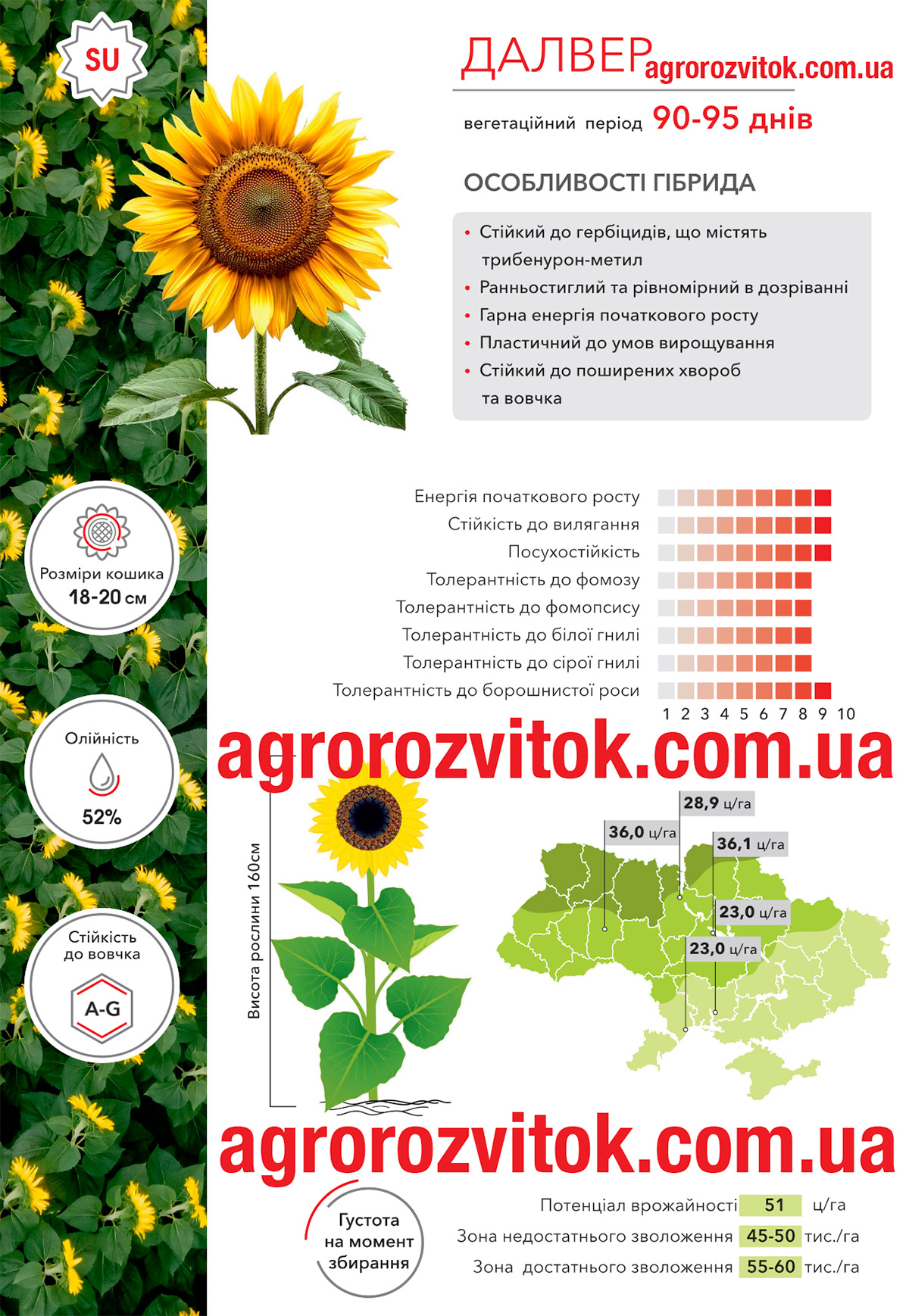 Соняшник Далвер Арт-Агро