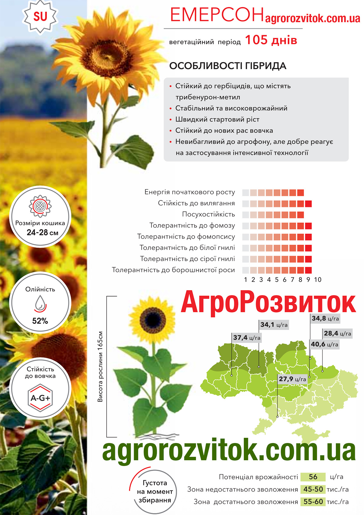 Соняшник Емерсон Арт-Агро