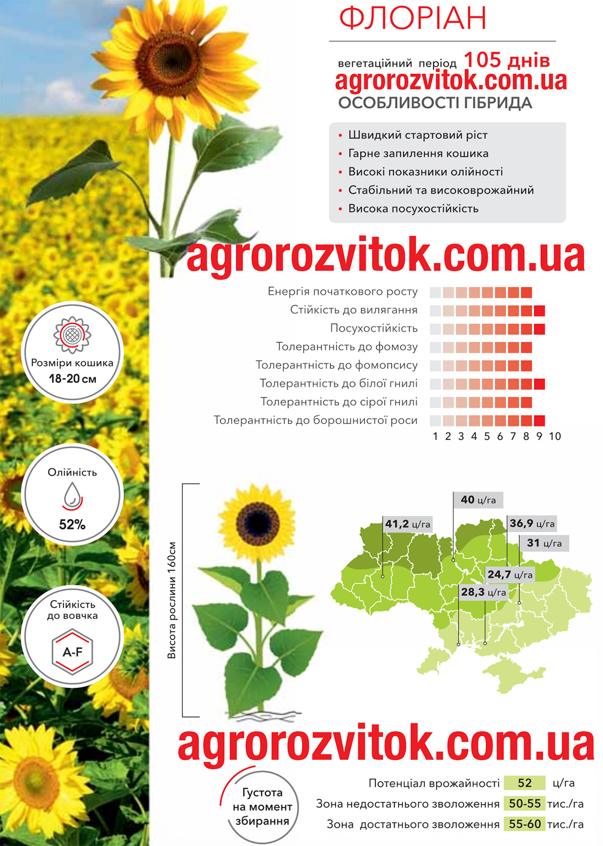 Соняшник Флоріан Арт-Агро