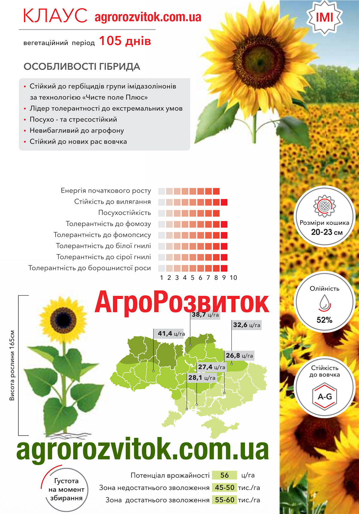 Соняшник Клаус Арт-Агро