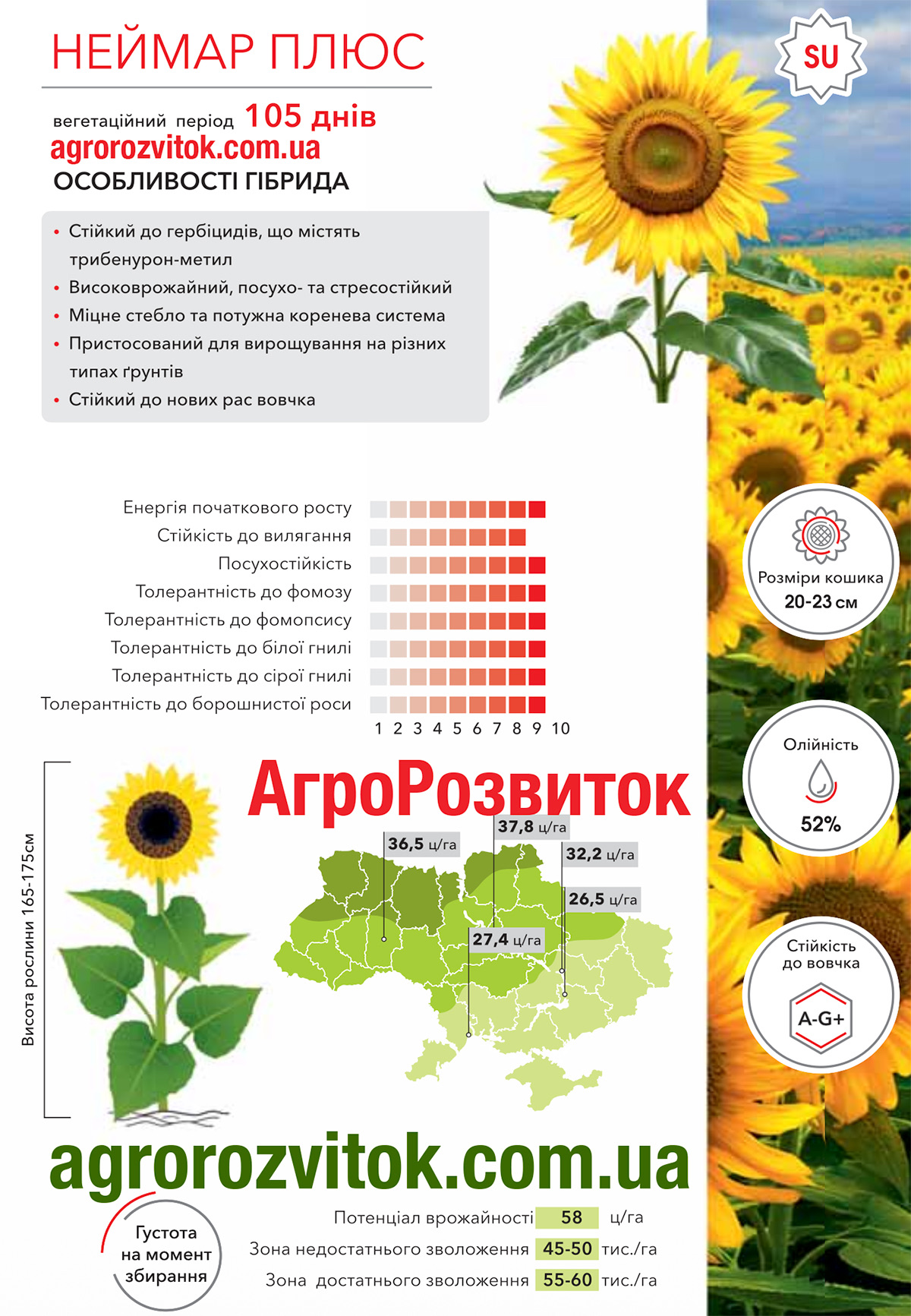 Соняшник Неймар Плюс Арт-Агро