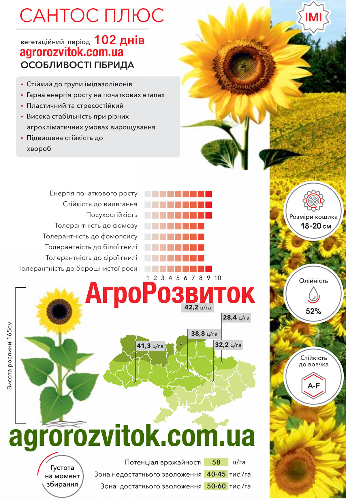 Соняшник Сантос Плюс Арт-Агро