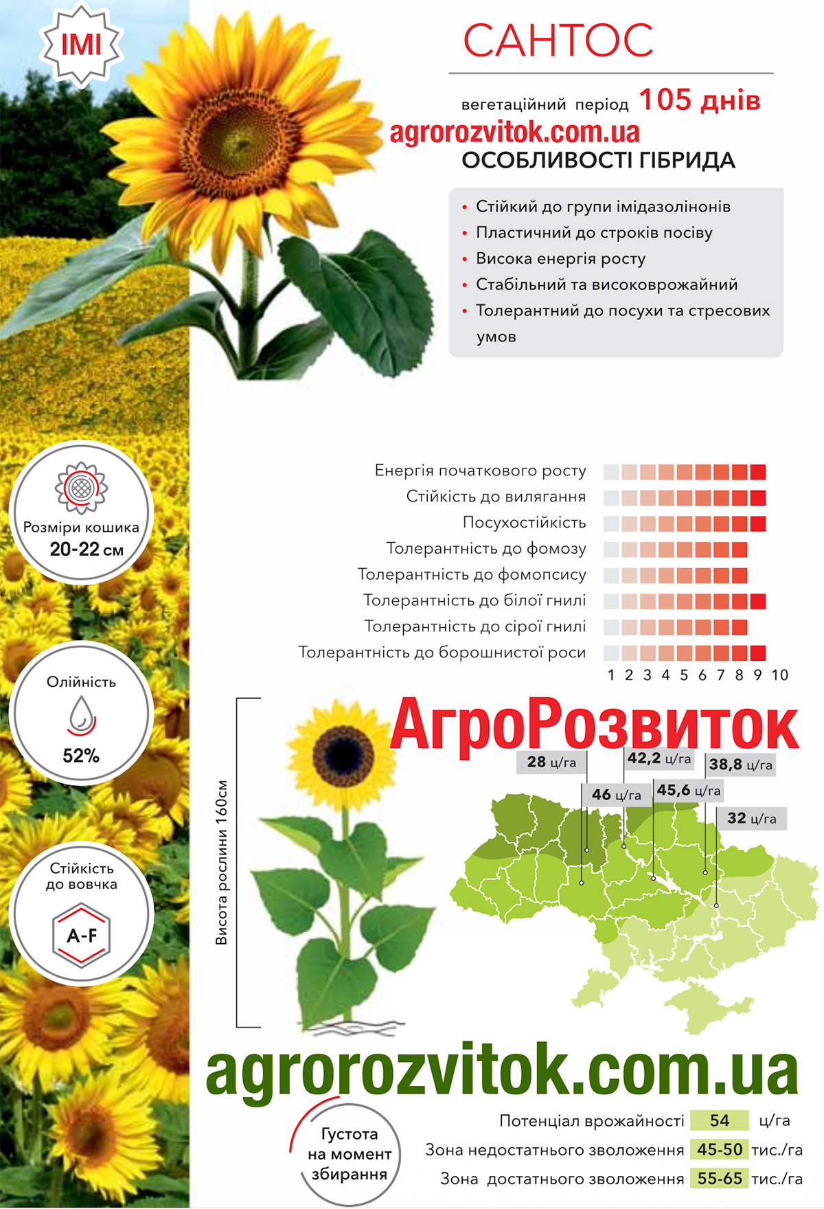 Соняшник Сантос Арт-Агро