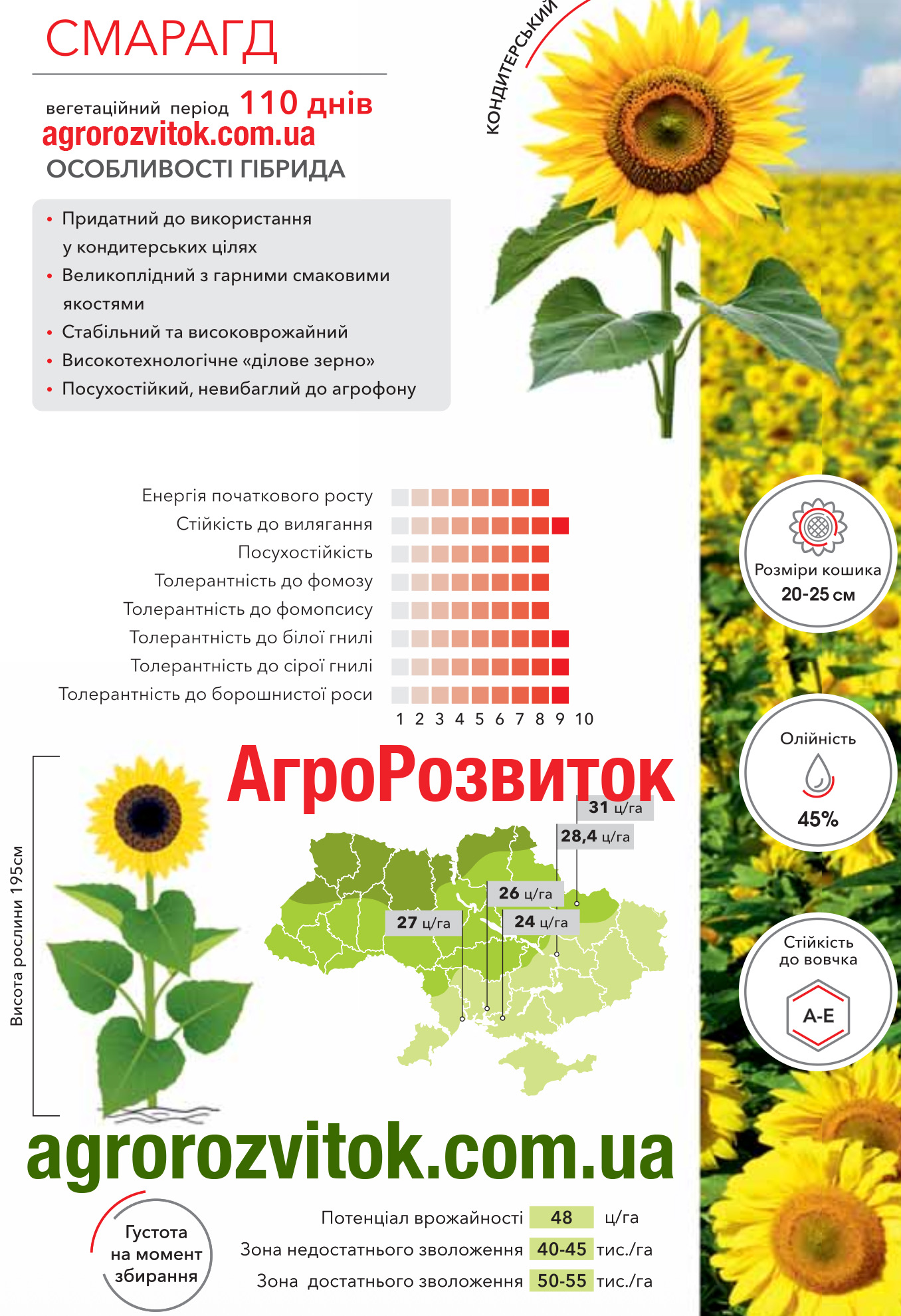 Соняшник Смарагд Арт-Агро