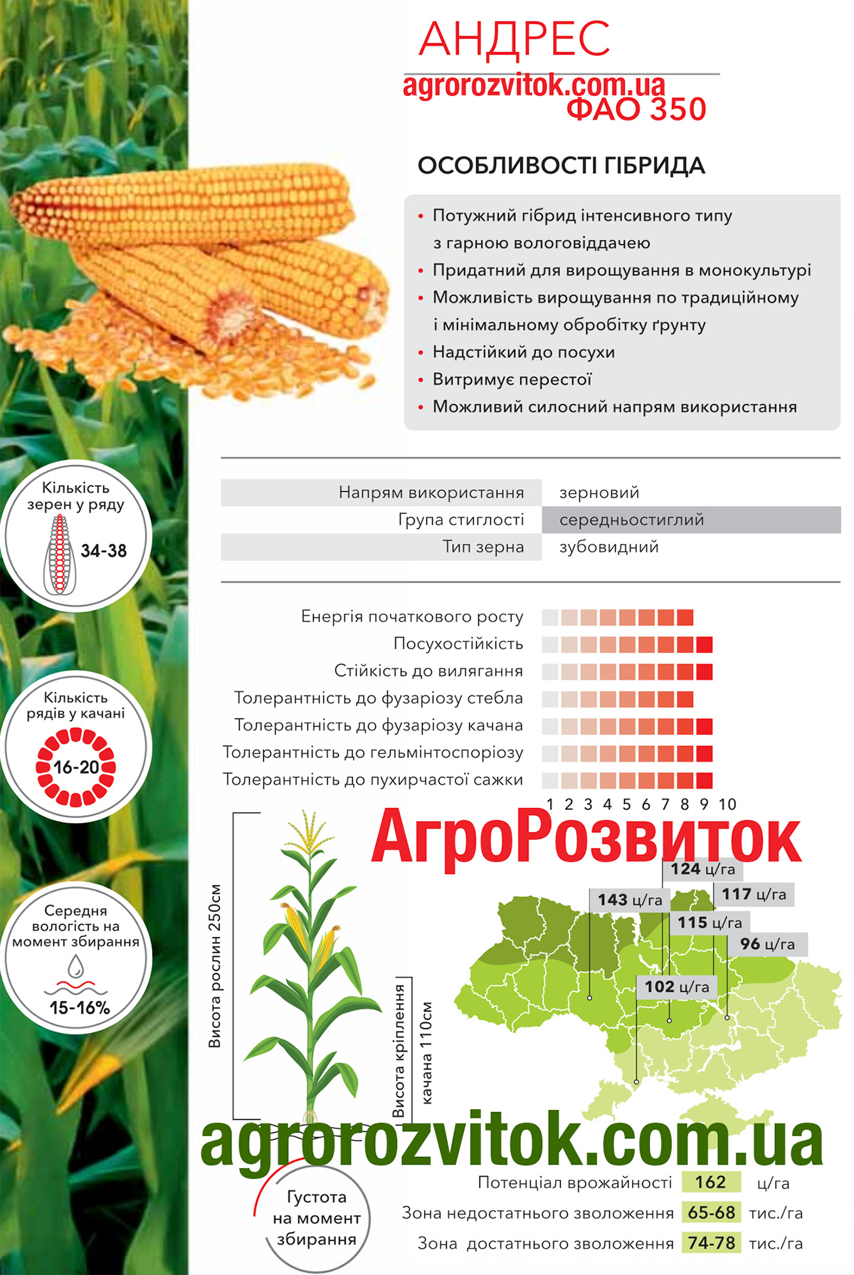 Кукурудза Андрес Арт-Агро