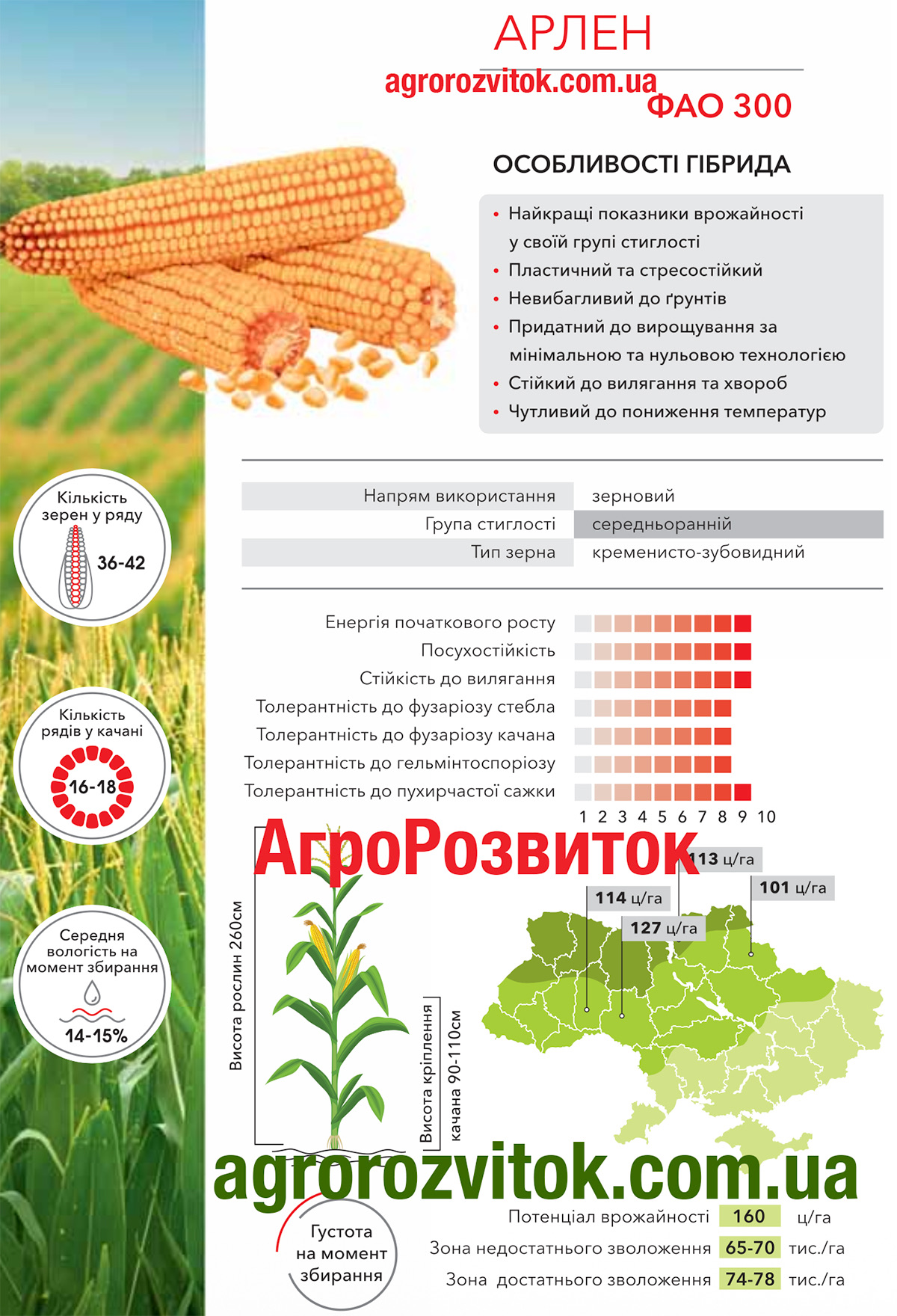 Кукурудза Арлен Арт-Агро